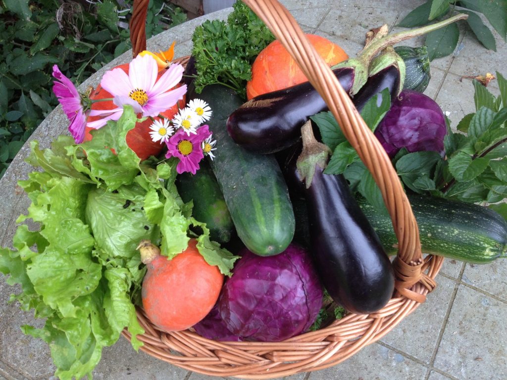 harvest-1225592_1920 vegetables in a basket