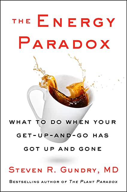 the energy paradox the energy paradox book cover